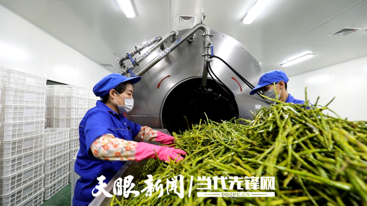 微信图片_20210304105515.png