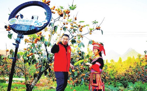 1657593663191424.jpg 微信图片_20220712102918.jpg