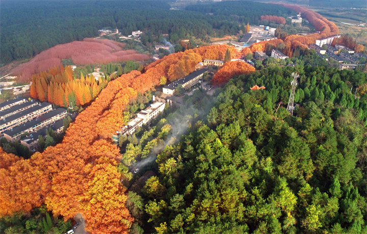 1705037835943354.jpg A5.jpg